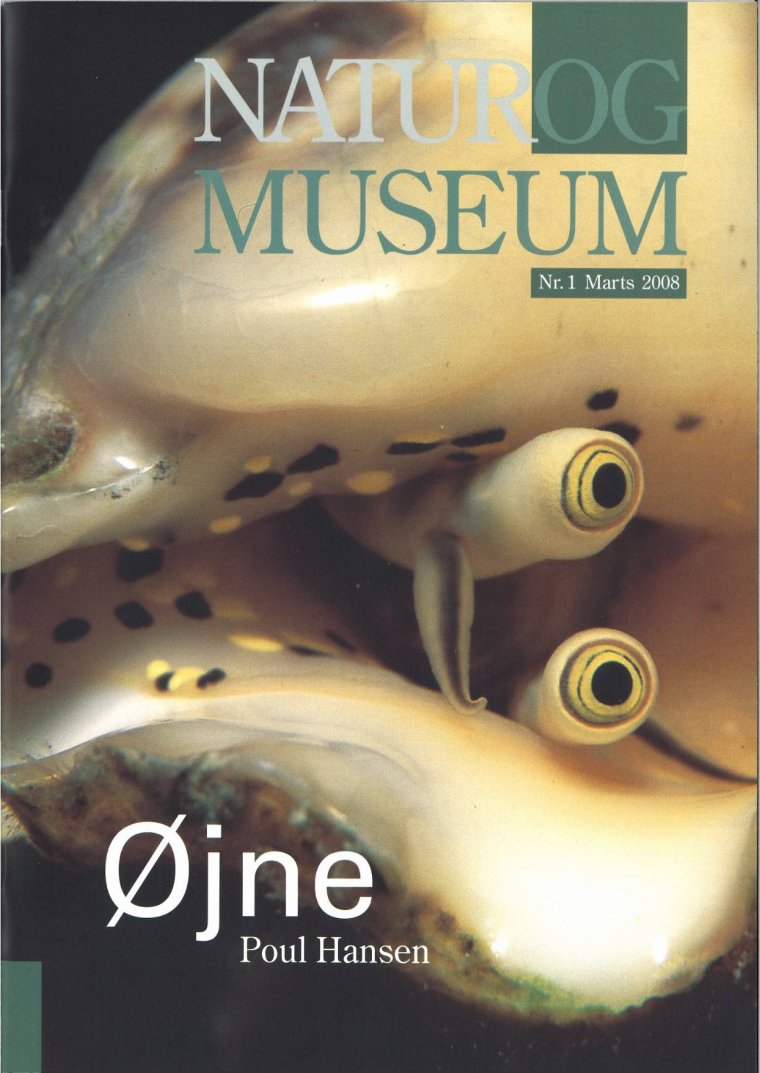 Øjne